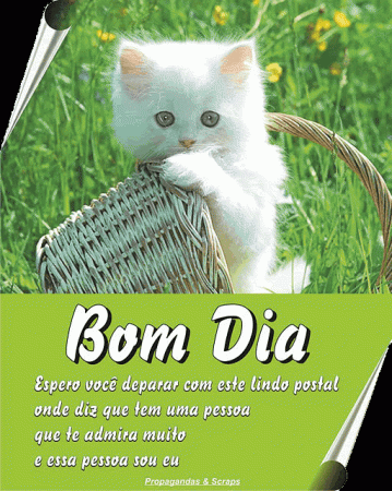 bom dia gtn
